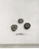 Click for 1 image(s) for this accession. FRUIT